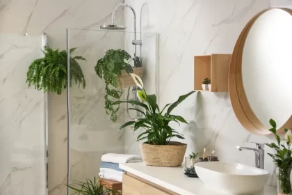 quelles sont les plantes qu'on peut mettre dans une salle de bain fougère de boston spathiphyllum