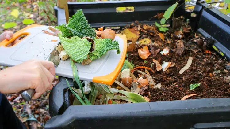 quels déchets mettre dans le compost et lesquels éviter