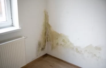 taches humidité sur les murs
