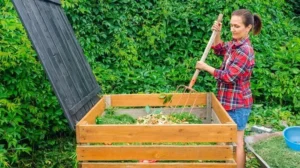 comment accélérer la décomposition du compost