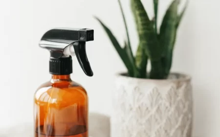 désinfectant naturel en pelure d'orange