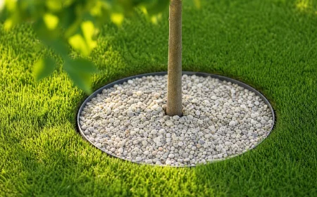 gravier au pied des arbres fruitiers paillage sol compost jardin