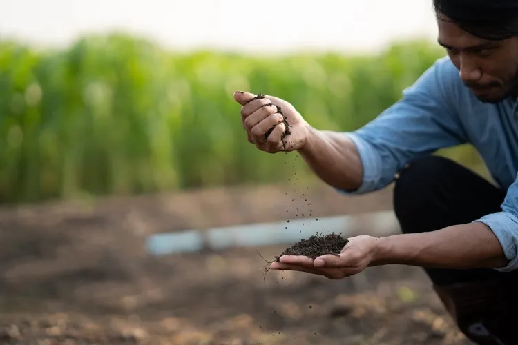 mais comment mesurer l'humidité dans le composteur