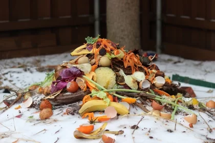 pourquoi mon compost ne se décompose pas