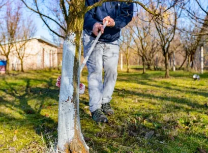 quand mettre la chaux au jardin