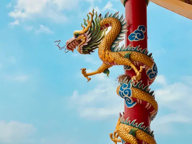 quand аnnée du dragon 2024 bois signes chinois horoscope astrologie