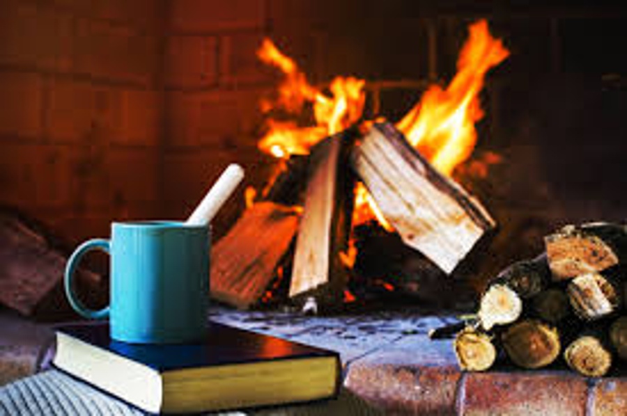 allume feu naturel avec des coques de cacahuètes