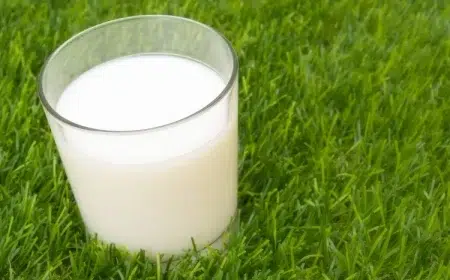 arroser les plantes avec du lait