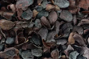 astuces tuto comment utiliser les coques de cacao au jardin paillage fertilisant naturel efficace
