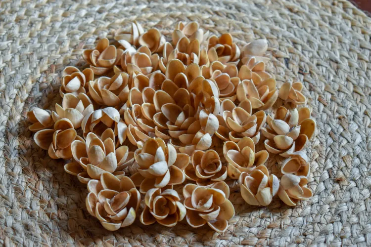 bricolage avec des coquilles de pistache activités manuelles artistiques pour adultes fleurs