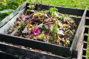 comment composter les bouchons de liège