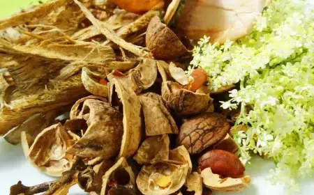 comment composter les coquilles de noix