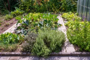 comment faire des allées dans son jadin potager quel matériau choisir dalles