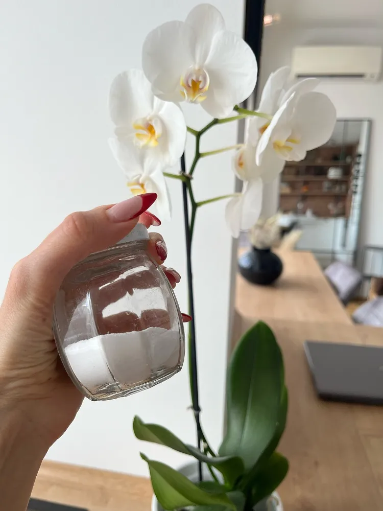 comment faire refleurir une orchidée avec bicarbonate de soude engrais naturel remede de grand mere