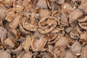 comment recycler reutiliser coquilles de noix dans le jardin mélanger à la terre drainage sol lourd plantes