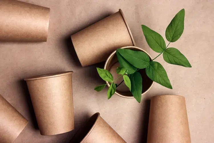 comment réutiliser les gobelets à café en carton jardinier fervent saison semis profiter contenants fiables biodégradables