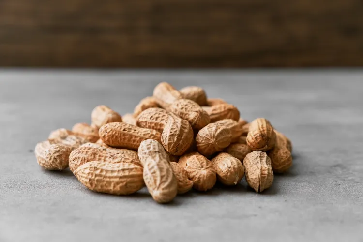 comment utiliser les coques de cacahuètes bienfaits arachides impact foie intestins
