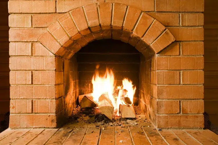 comment utiliser les coquilles de noix à la maison pour allumer un feu rapidement sans allume feu