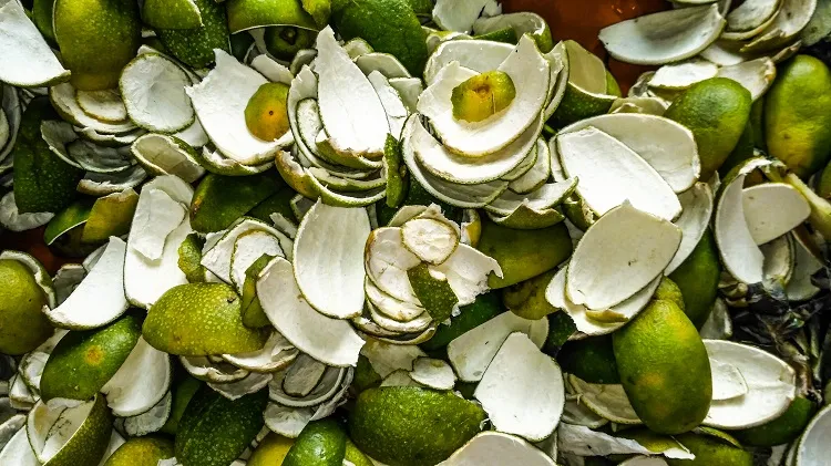 comment utiliser les epluchures de citron lime pour pailler le jardin potager faire un engrais naturel