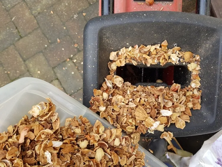 coquilles de noix dans le compost compostables broyées utilisées paillis brûler cendre engrais