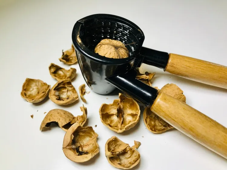 coquilles de noix dans les pots médecine alternative utilisation grande quantité nutriments