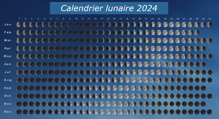 Jardiner avec la lune 2024 🌙  Calendrier lunaire du jardin 2024 à imprimer