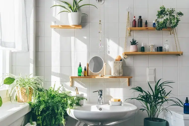 deco salle de bain avec plantes
