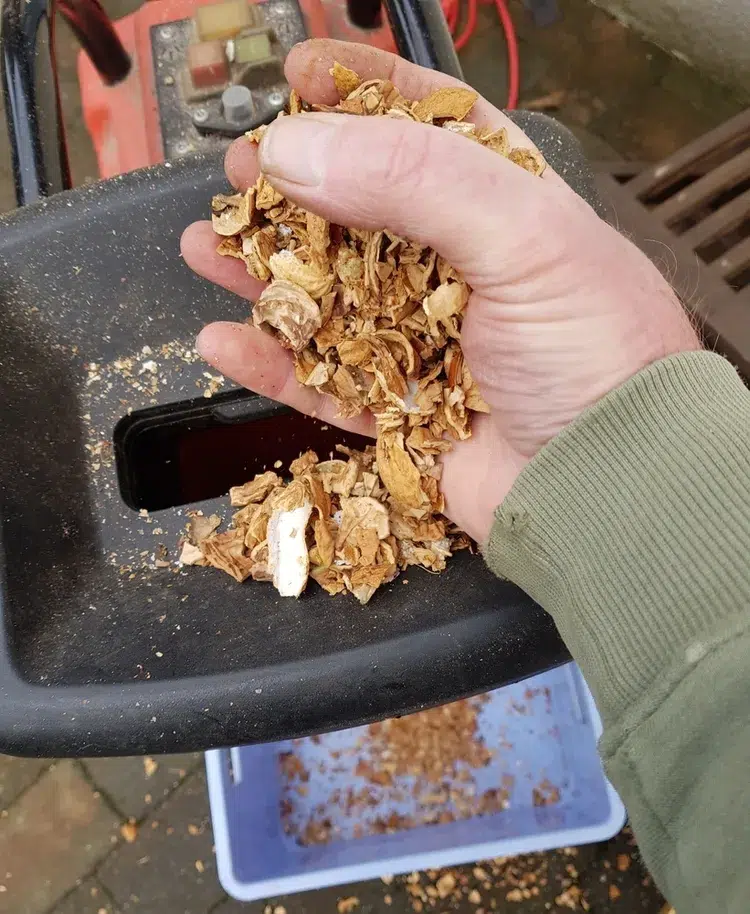 est ce que les coquilles de noix se mettent dans le compost