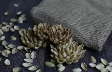 idée bricolage avec des coquilles de pistache activités manuelles artistiques adultes fleurs 3d