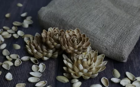 idée bricolage avec des coquilles de pistache activités manuelles artistiques adultes fleurs 3d