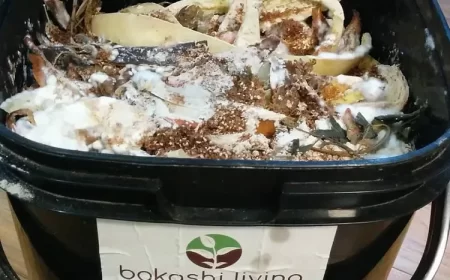 mettre bicarbonate de soude dans le compost bienfaits