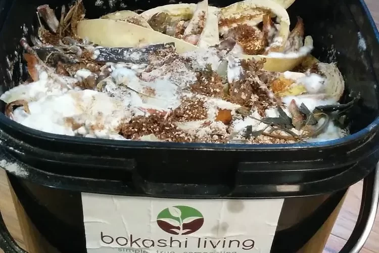 mettre bicarbonate de soude dans le compost bienfaits