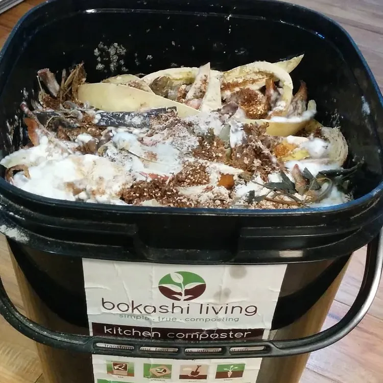mettre bicarbonate de soude dans le compost bienfaits