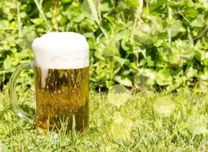 mettre de la bière dans le compost