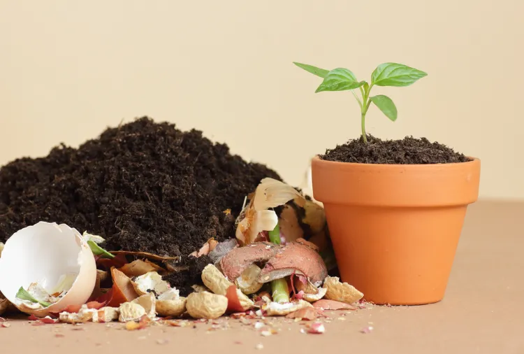 mettre du compost dans les pots de fleurs pourquoi comment quelles proportions respecter