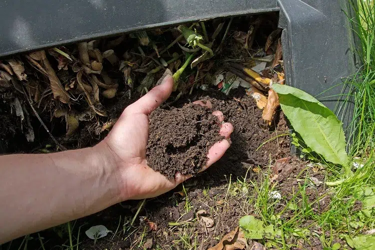 mettre du fumier dans le compost
