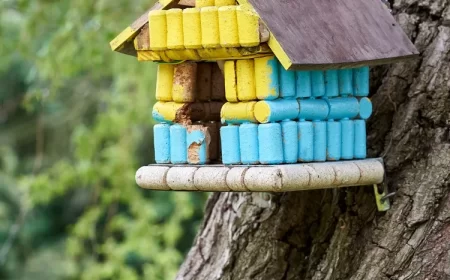 nichoir pour oiseau diy coloré