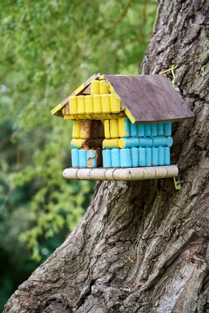 nichoir pour oiseau diy coloré
