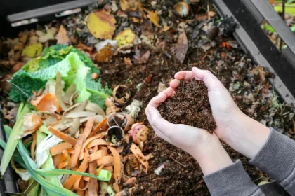 parasites dans le compost 2024