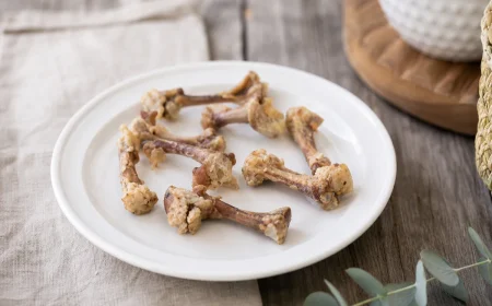 peut on donner viande os de poulet aux poules conseils alimentation restes alimentaires