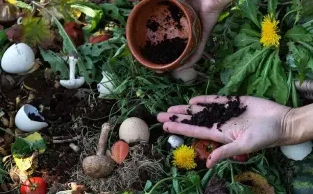 peut on mettre du marc de café dans le compost