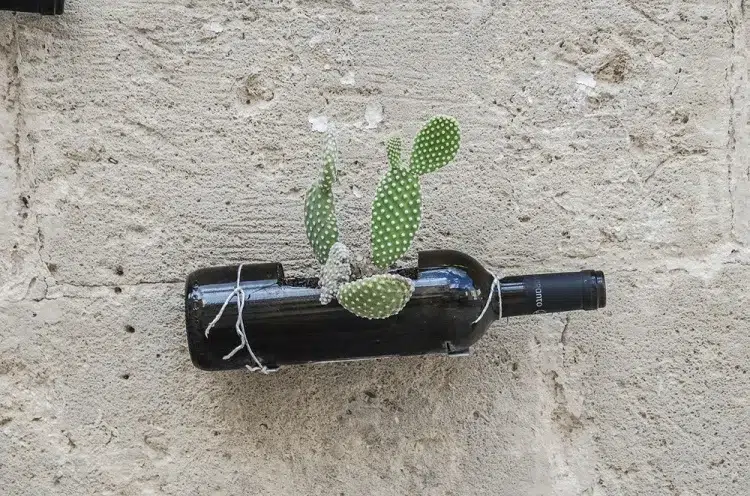 pot de fleur diy à faire soi même recycler bouteille de vin