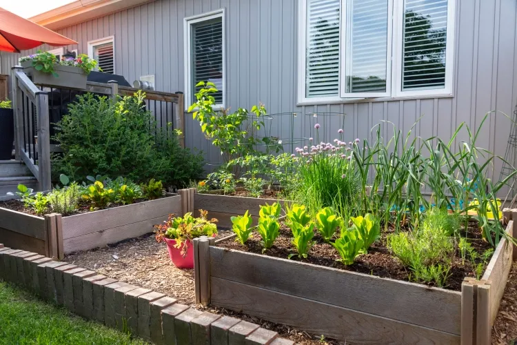 pourquoi faire un jardin de survie crise énergétique pénurie eau guerres être autonome résilient