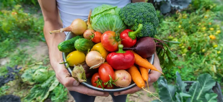 pourquoi faire un jardin de survie prévoyance garantie durabilité forte motivation acquérir savoir faire