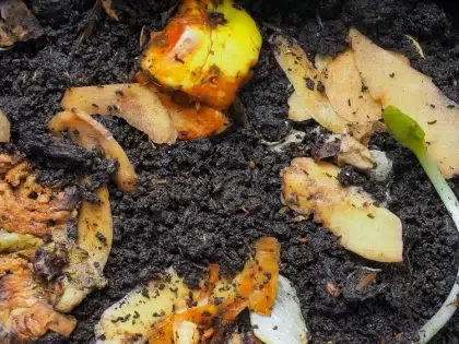 pourquoi mon compost est trop humide liquide raisons solutions faire sécher