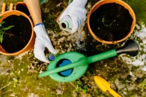 pourquoi utiliser le tonnerre d'engrais booster croissance contenu azote démarrer semis revivre plantes
