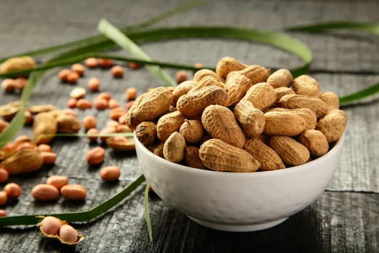 que faire des coques des cacahuètes état cru arachides gardent nutriments vitamines bonnes graisses intacts
