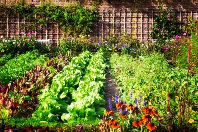 qu'est ce qu'un jardin survivaliste prendre sérieux pourquoi créer jardin survie face crises