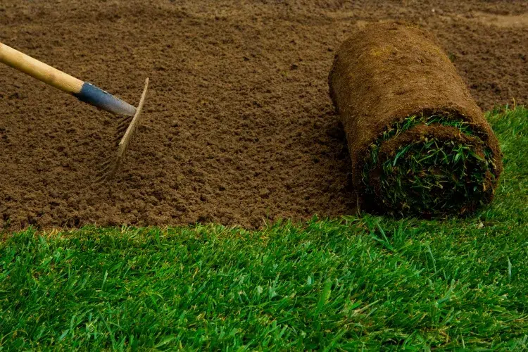 semer la pelouse à la volée peser pour contre type ensemencement tourbe semis hydroensemencement