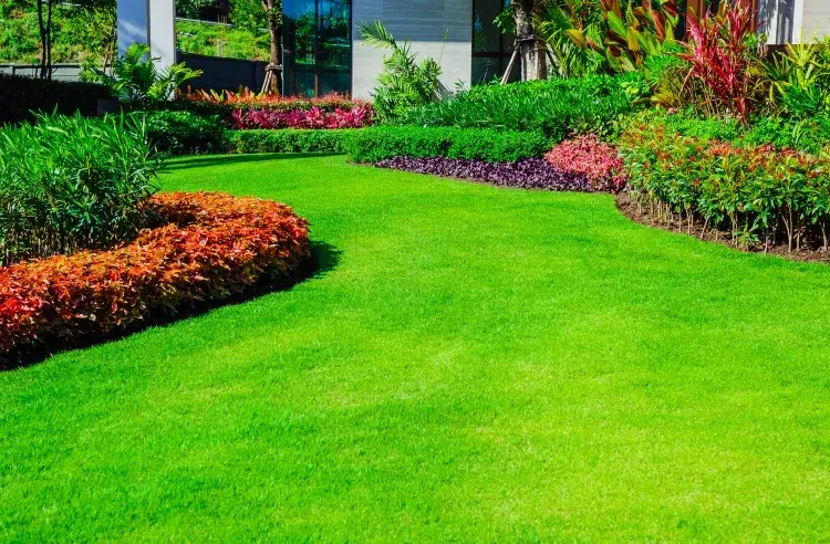 semer la pelouse à la volée quel gazon préférer naturel synthétique avantages inconvénients